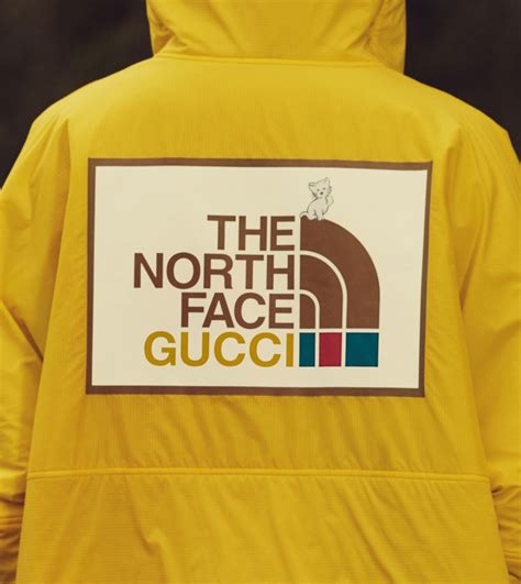 north face with gucci|Gucci north face shop.